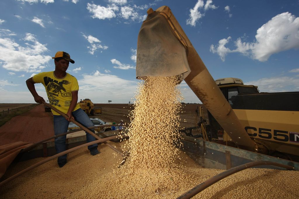 Colheita de soja em Goiás: ministro da Agricultura, Reinhold Stephanes, manifestou preocupação com o escoamento e a armazenagem da safra nos estados do Centro-Oeste | Jonathan Campos/ Gazeta do Povo
