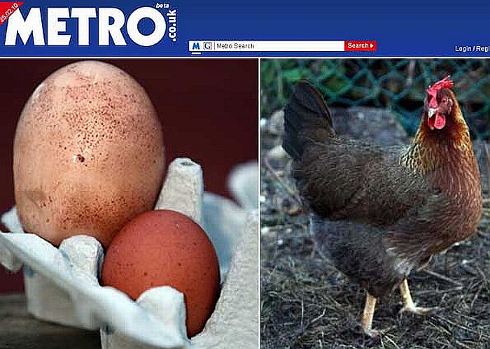 Matilda e sua obra: um ovo quatro vezes maior que o normal | Reprodução/Metro.co.uk