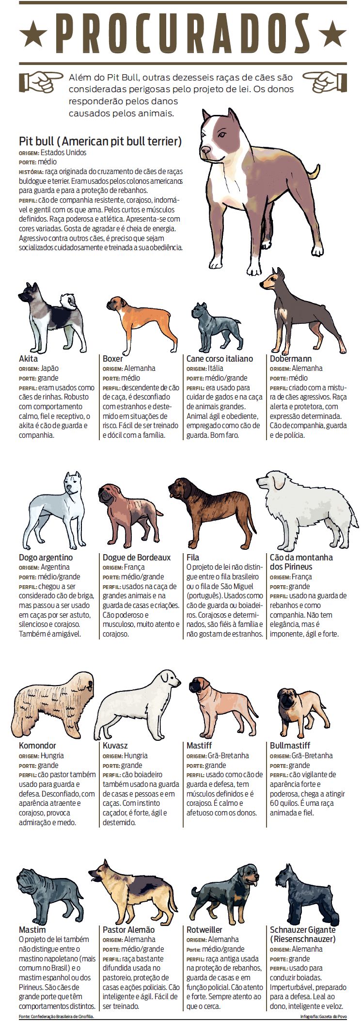 Veja que além do pit bull outras 16 raças são consideradas perigosas |