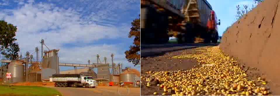 O problema é constante, mas nesse período do ano é a soja que se acumula nos acostamentos | Reprodução RPC TV