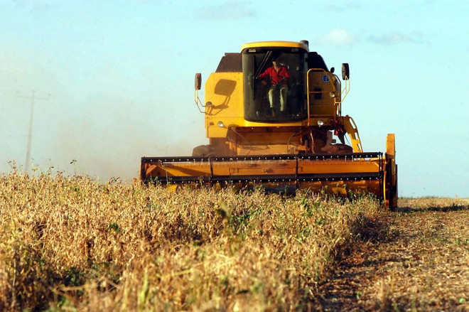 Com 20% da colheita já realizada, a soja é um dos destaques da produção paranaense de grãos | AEN