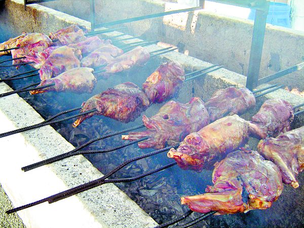 | Cláudio Feldens/Gazeta do Povo