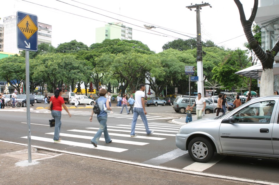 No ano passado, quase 35% das mortes foram por atropelamento. Neste ano, o índice está em 50% | Arquivo/PMM