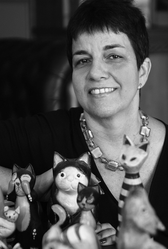 Heloisa Seixas: antologia de contos |