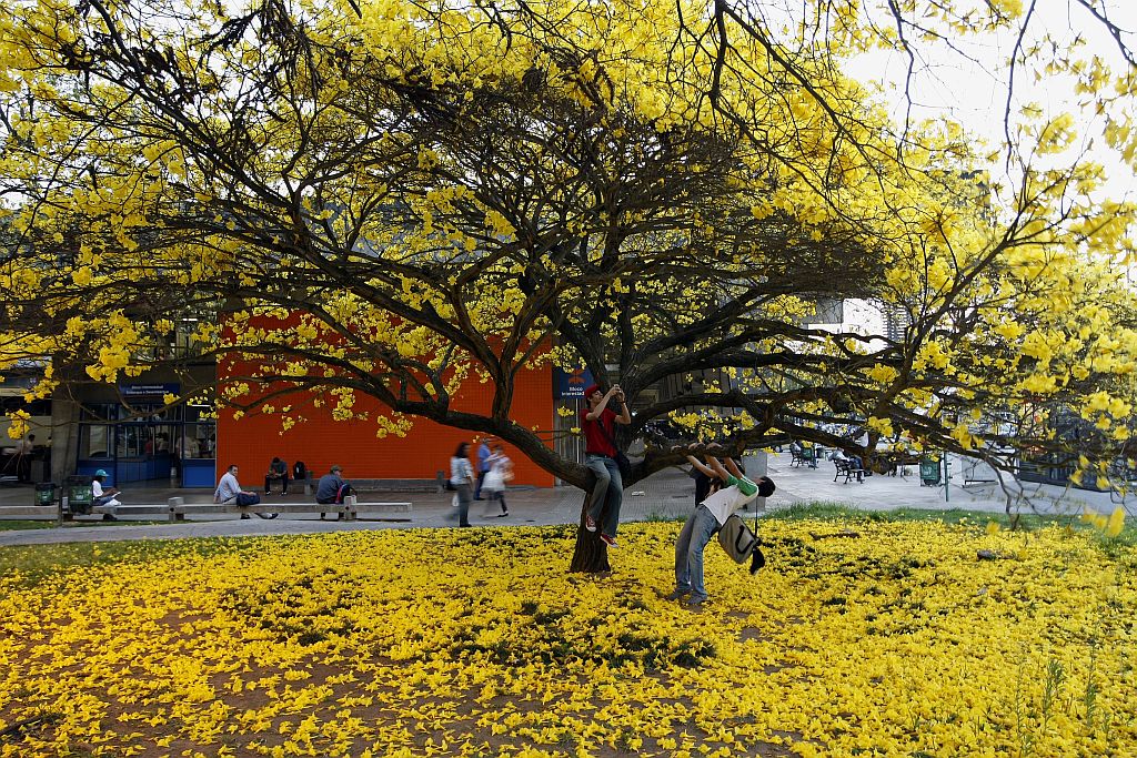 | Antonio Costa / Gazeta do Povo