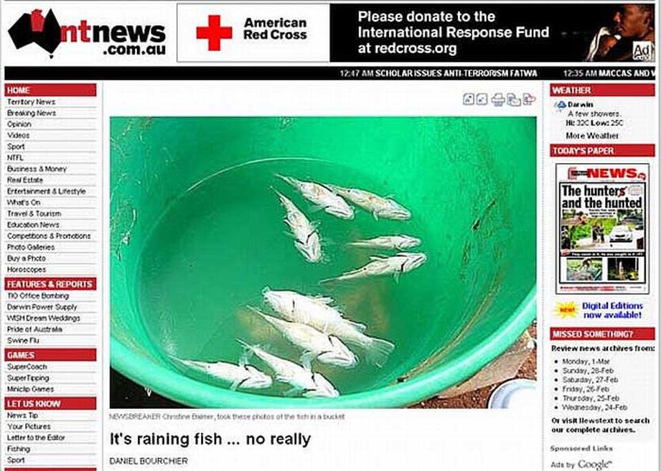 Peixes caíram ainda vivos na região de Lajamanu | Reprodução/Northern Territory