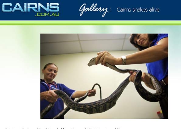 Veterinárias Lucy Weeks e Carol Esson seguram píton que devorou um coelho de brinquedo | Reprodução/Cairns Post