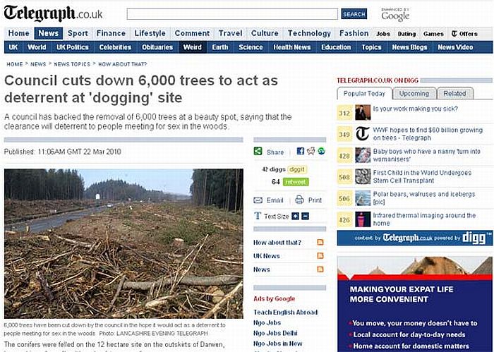 Cerca de 12 hectares foram limpos em Darwen, Lancashire, na Inglaterra. Seis mil árvores foram cortadas para evitar que casais usem a floresta como cenário de suas noites de sexo | Reprodução/Telegraph.co.uk