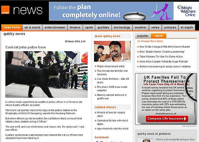 Officer, o gato, trabalha no departamento de polícia de Chongqing, na China | Reprodução/Orange