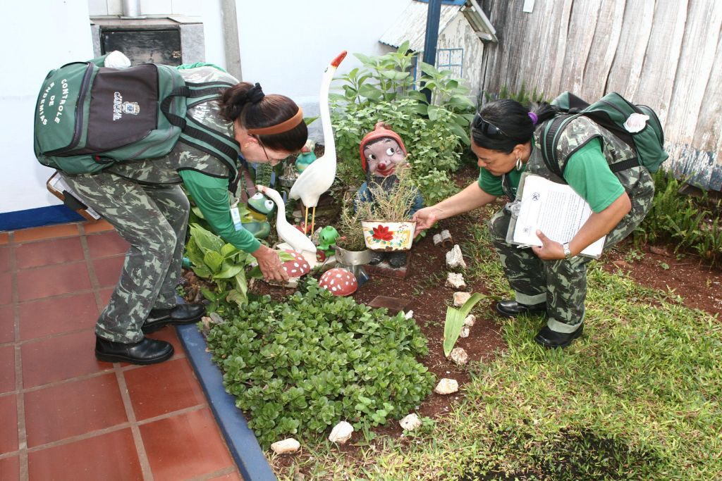 Inspeção em Cascavel: proprietários poderão responder na Justiça | SECOM