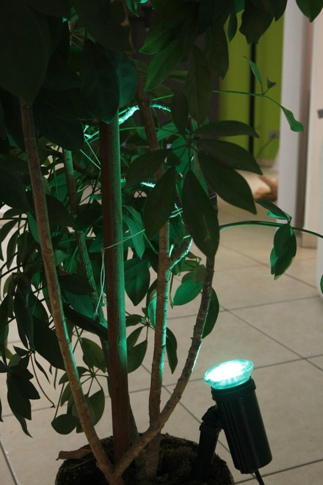 Espeto (R$ 36) com led verde (R$ 26), que valoriza o tom da planta. À venda na Ita Lustres |
