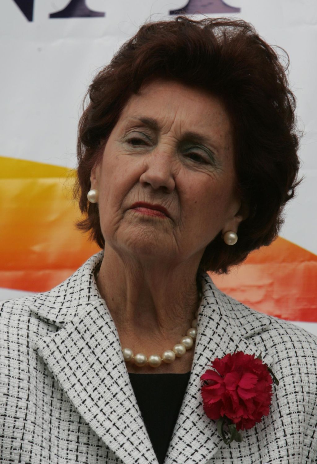 Nice Braga: dedicação à filantropia | Marcelo Elias/Gazeta do Povo