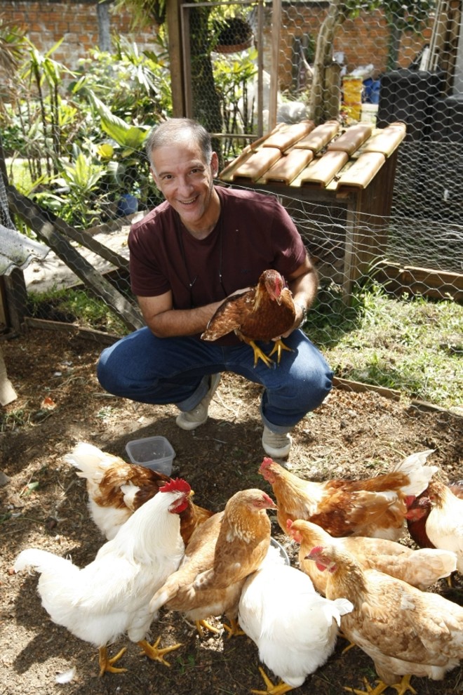 Oliver e as galinhas: 