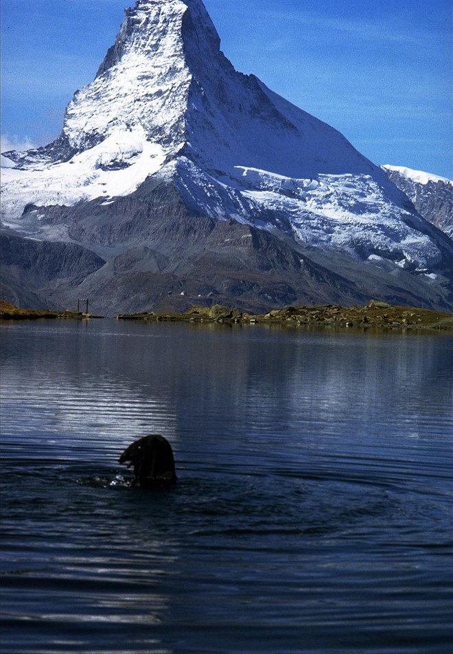 The Right Way, dos alemães Peter Fischli e David Weiss, na Mostravídeo |