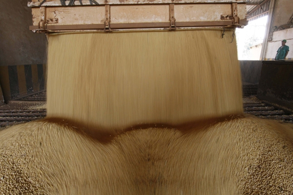 Soja: produção em alta e preço em queda |