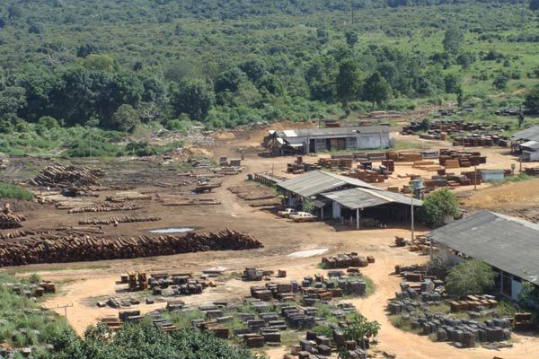 Área de exploração ilegal de madeira no norte de Mato Grosso, fiscalizada pelo Ibama | Ibama / Divulgação