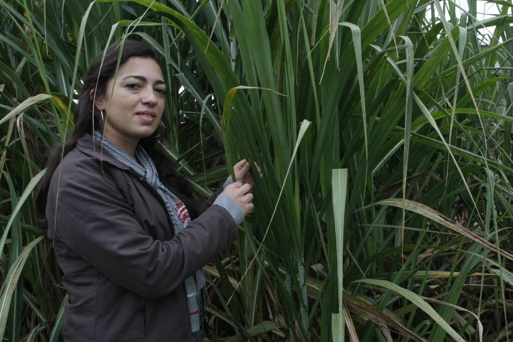 Ana Selena: bolsa ajuda a pagar aluguel e outros custos | Aniele Nascimento/Gazeta do Povo