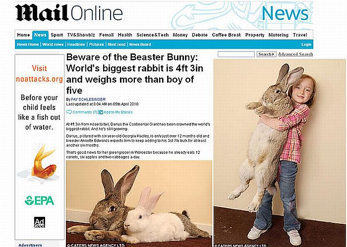 O coelho Darius recebe abraço da pequena Georgia Hadley | Reprodução/Daily Mail Online