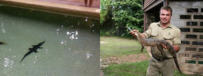 Tom Nichols, funcionário do Howard Springs Holiday Park, e o crocodilo | Divulgação/Howard Springs Holiday Park