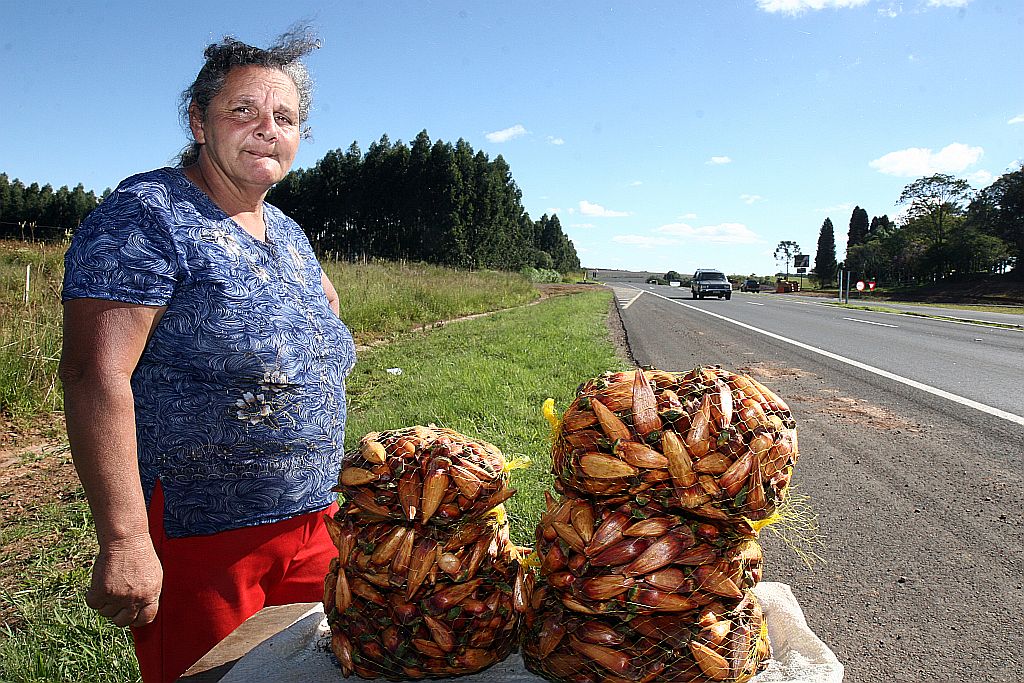 Judite percorre oito quilômetros a pé para vender o litro do pinhão por R$ 1,50. Maioria dos vendedores e consumidores desconhece a proibição da venda antes de 15 de abril | Henry Milleo/Gazeta do Povo