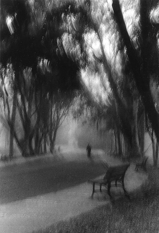 Cenário recorrente na obra de Dalton Trevisan, o Passeio Público é mostrado de modo ameaçador |