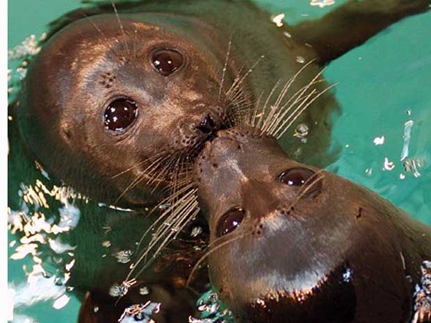 Tito e Nessy namoram entre um treino e outro | Divulgação