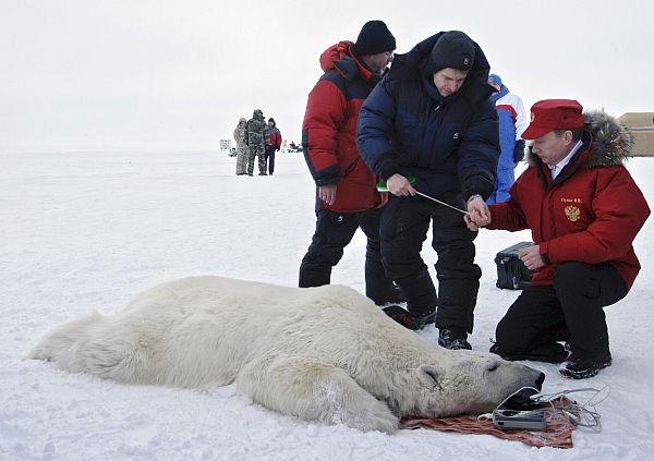 | Fotos: France Presse e Reuters