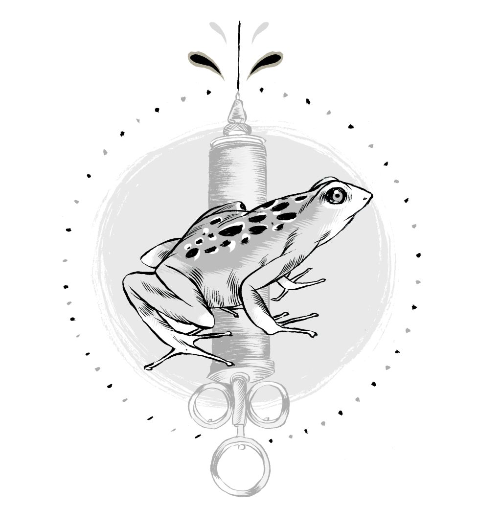 | Ilustração: Felipe Lima