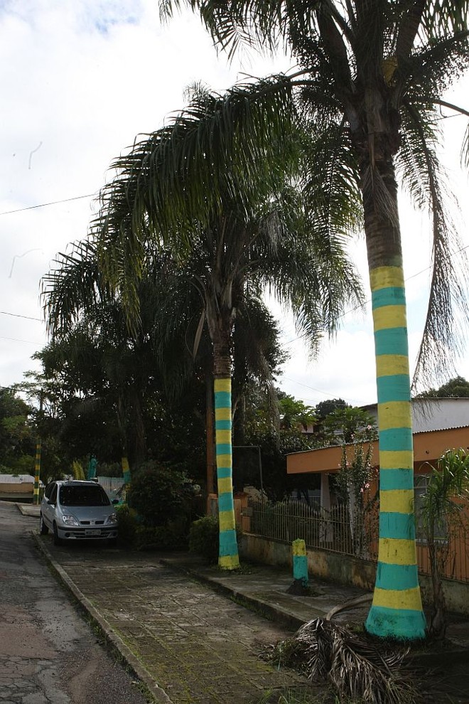 A decorada Rua Benedito Correia de Frei­­tas, no bairro Abranches | 