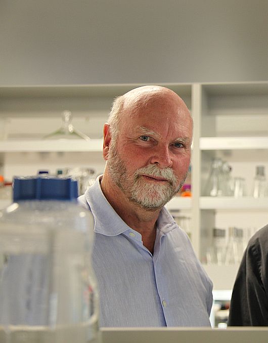 | Divulgação/J. Craig Venter Institute