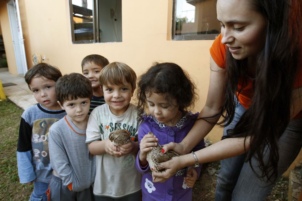 Grupo de estudantes cuida das codornas criadas dentro da instituição: certificação atesta educação ambiental de qualidade | Rodolfo Bührer/Gazeta do Povo