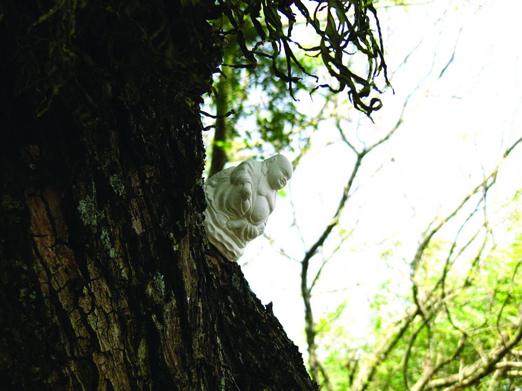 Buda de Fabrício Vaz Nunes: provocação | Fabrício Vaz Nunes/Divulgação