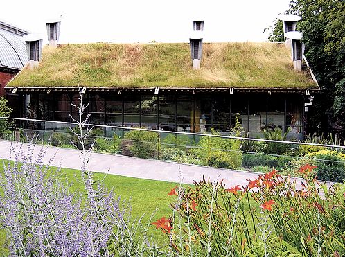 Telhado verde na Europa, onde a técnica ganha força | Divulgação