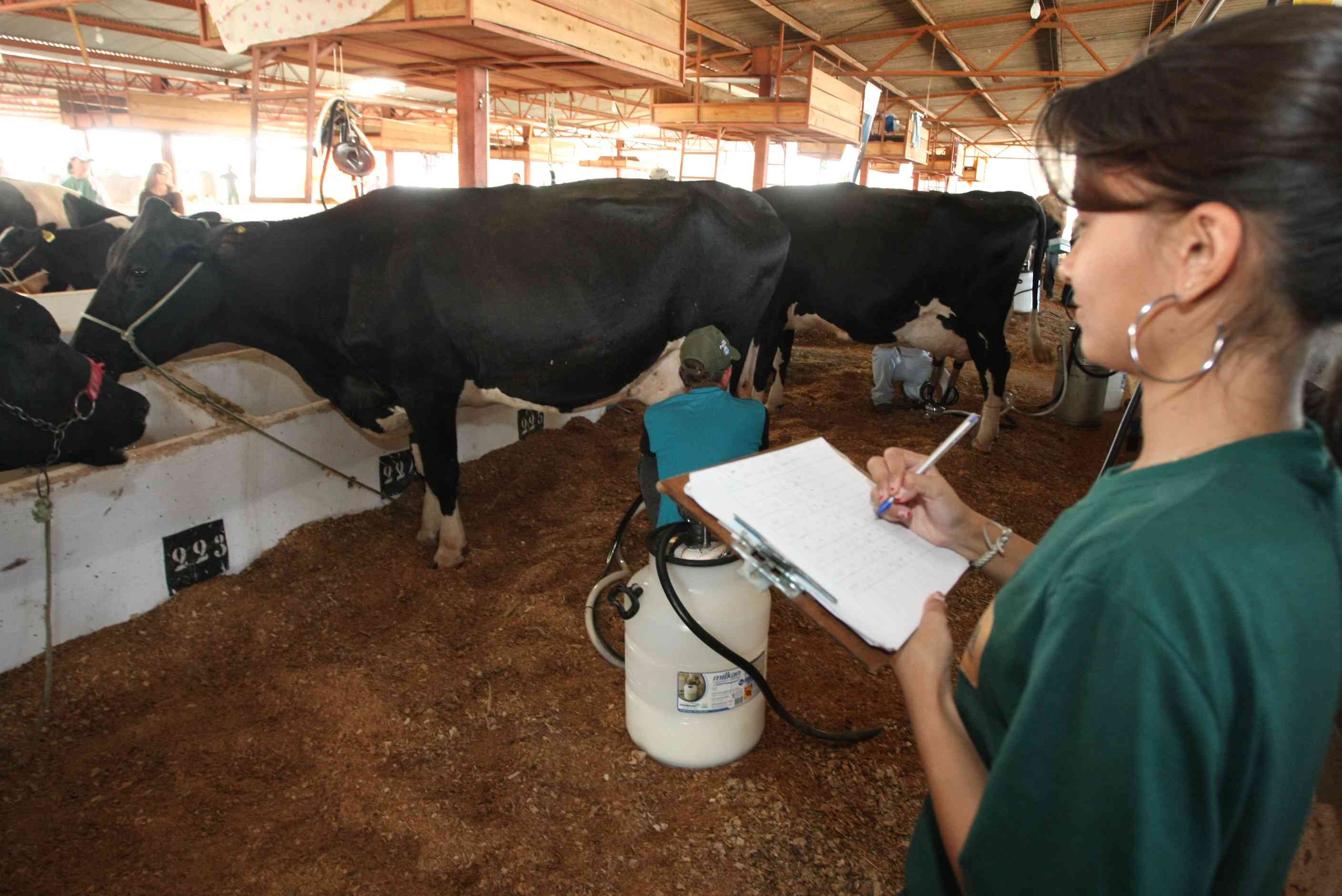 | Divulgação/ Sociedade Rural de Maringá