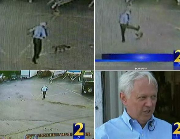 Walter Wilson foi atacado por uma raposa no estado da Geórgia | Reprodução