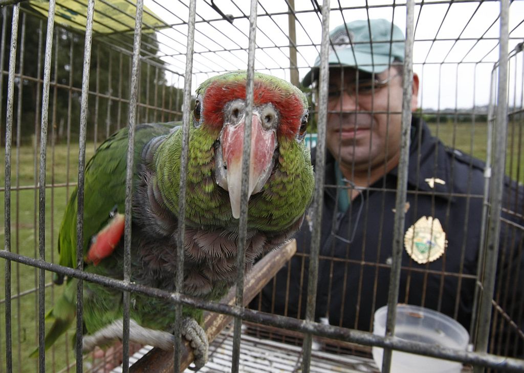 | Jonathan Campos/Gazeta do Povo