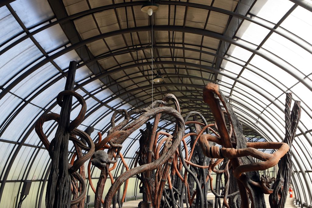 Escultura suspensa por fio: descuido com o acervo de Frans Krajcberg, no espaço cultural que leva seu nome, motiva o artista a tentar reaver suas obras | Valterci Santos/Gazeta do Povo