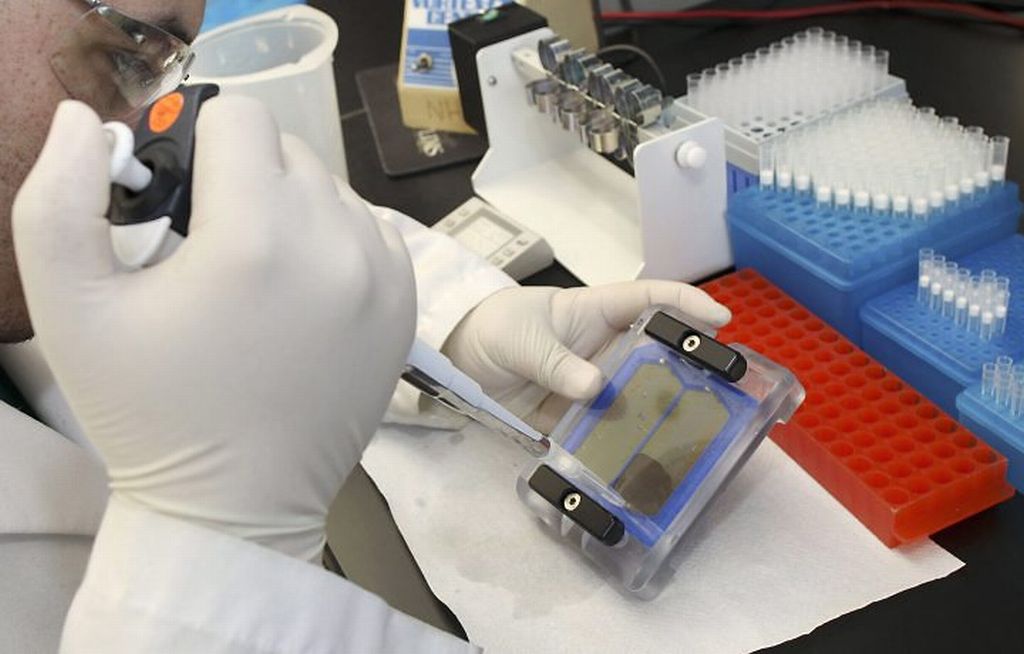 O começo da experiência para a criação da vida artificial | Divulgação