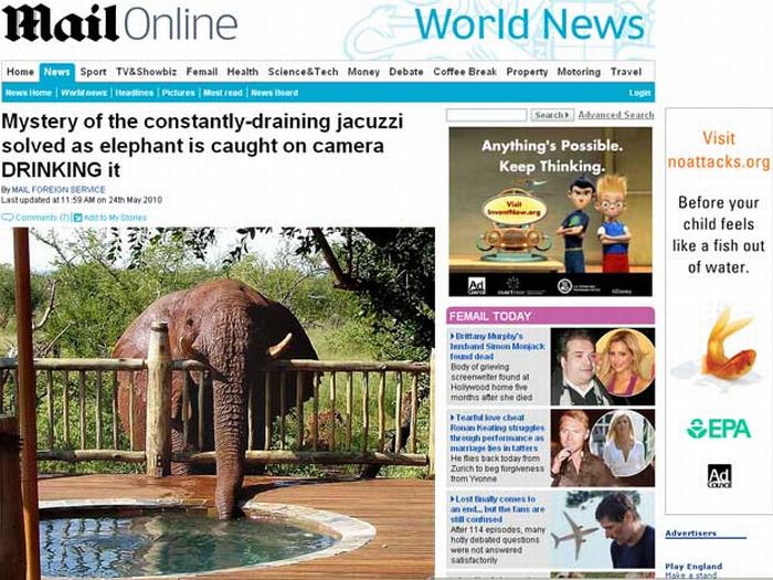 Troublesome foi flagrada bebendo água da jacuzzi | Reprodução/Daily Mail