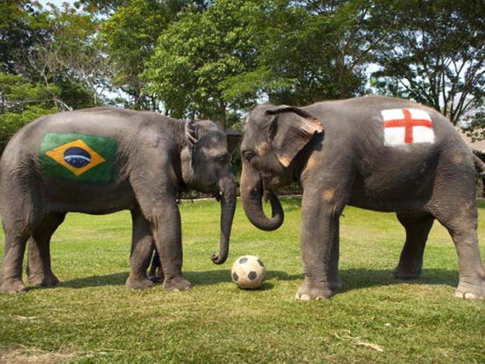 Thongsri e Duanpen em disputa pela bola. | Bronek Kaminski/Barcroft Índia/Getty Images
