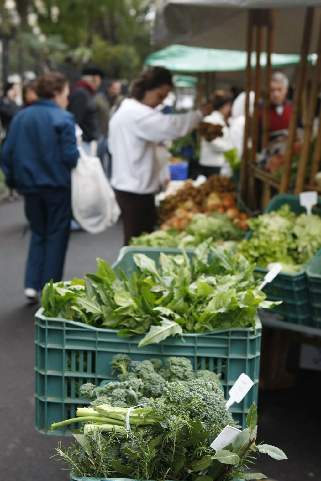| Aniele Nascimento/ Gazeta do Povo