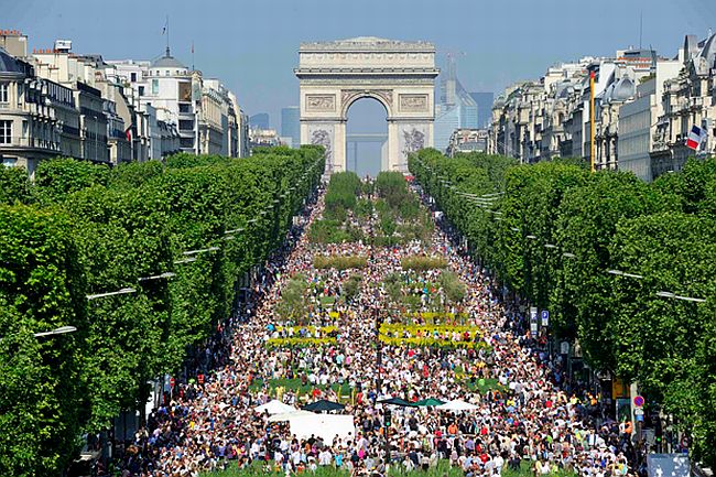 Avenida Champs-Elysées foi tomada por diferentes plantas e árvores durante "Nature Capitale", promovido por agricultores | Reuters