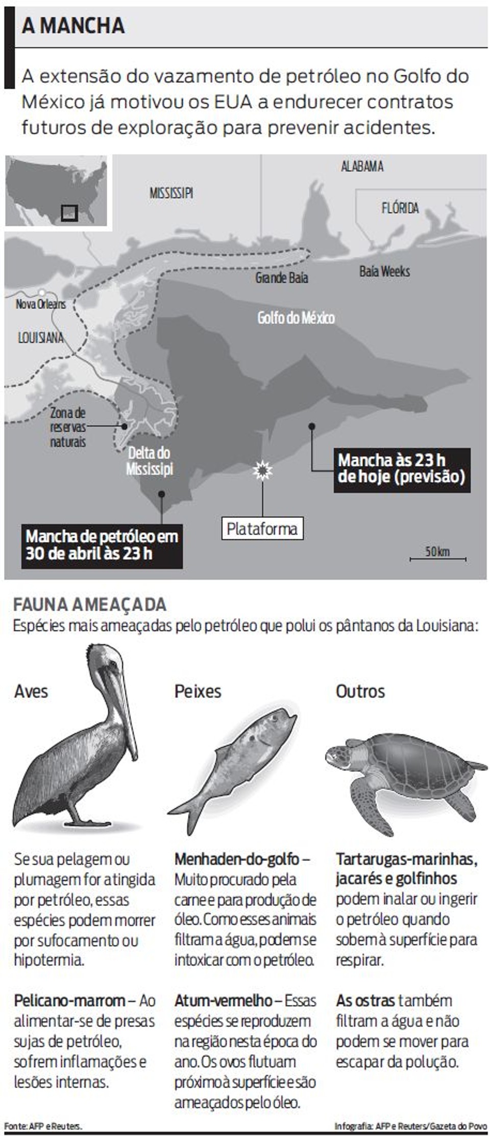 Veja a área atingida pelo óleo e as espécies ameaçadas |