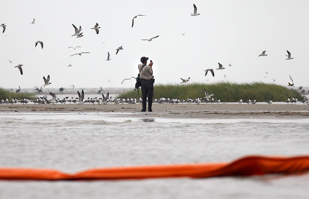 Funcionário de agência de proteção ambiental americana examina danos causados pelo óleo | Reuters