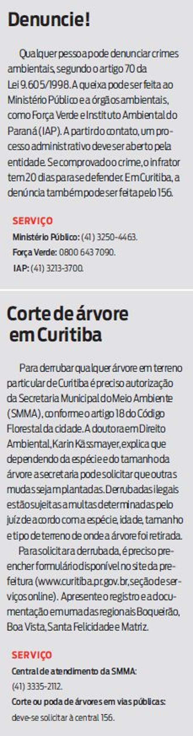 Veja como denunciar crimes ambientais | 