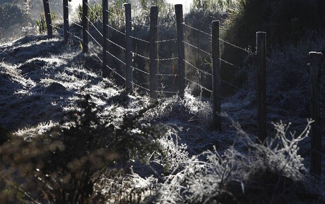 Ocorrência de geadas e nevoeiros, como este caso em São José dos Pinhais, devem ser situações comuns para este inverno | Jonathan Campos / Agência de Notícias Gazeta do Povo
