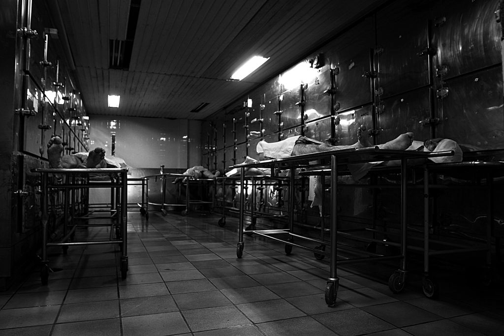 | Rogério Machado/Arquivo