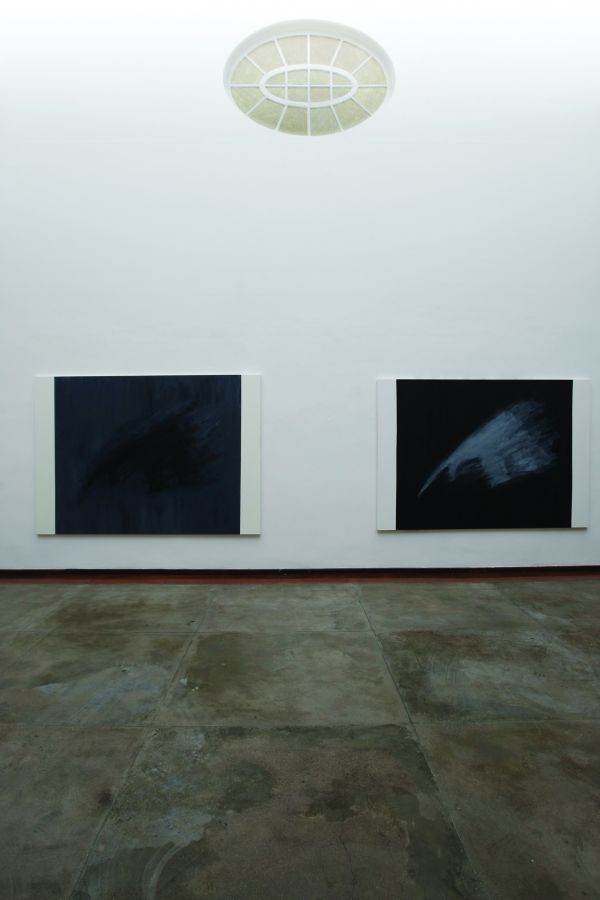 Tamanduás de Carlos Zilio propõem uma reflexão que perpassa questões existenciais, estéticas e políticas |