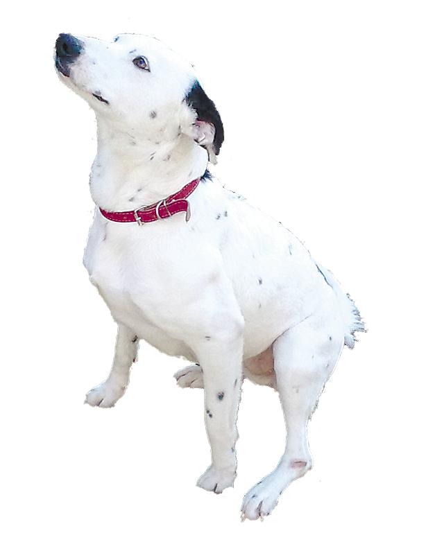 | Jonathan Campos/GP