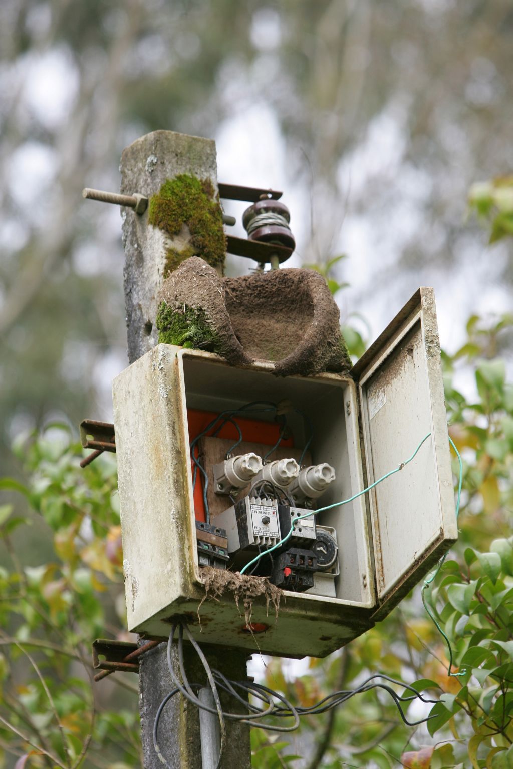 | Antonio More/Gazeta do Povo